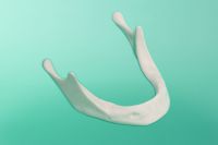 Żuchwa standardowa bez elementu mocującego (wąska)