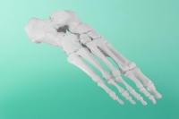 Stopa prawa 4 cz 20-1521