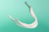 Żuchwa standardowa  z pogrubionym wyrostkiem bez elementu mocującego 10-1011