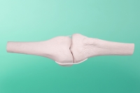 Staw kolanowy średni lewy 40-1010