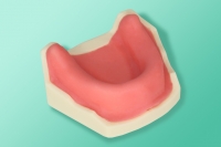 Model żuchwy bezzębnej 10-3038