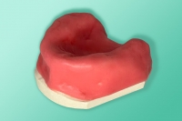 Model szczęki bezzębnej z naturalnym wyrostkiem 10-5012